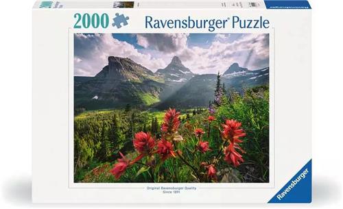 Ravensburger 12.001.415, 2000 stuk(s), Liggend, 14 jaar