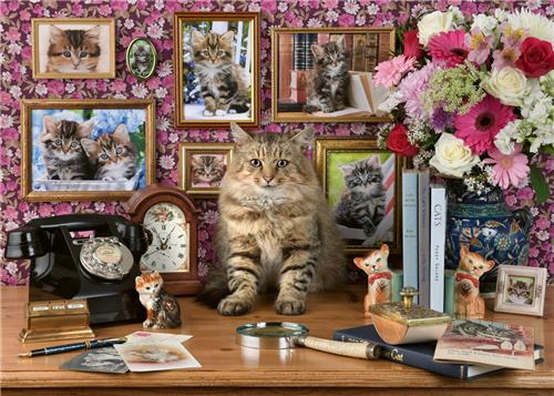Ravensburger puzzel katten - 1000 stukjes legpuzzel volwassenen.