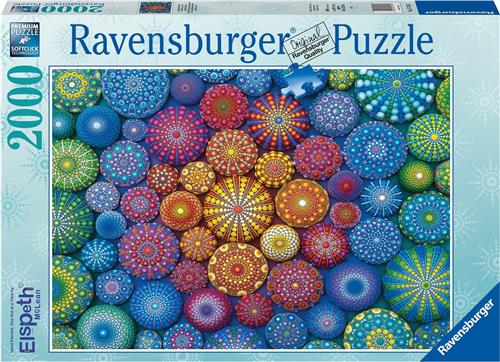 Ravensburger 17134 puzzel Legpuzzel 2000 stuk(s) Overige